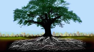 Grafik mit Baum oberirdisch und Wurzelwerk unterirdisch
