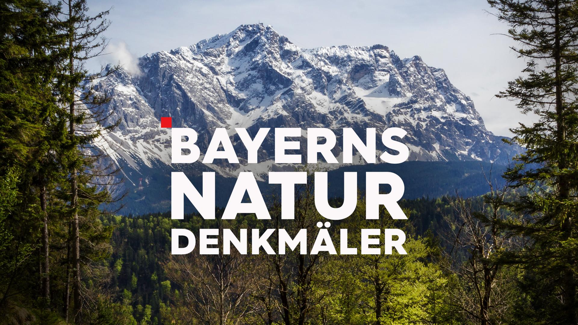 Bayerns Natrudenkmäler – Sendetypical