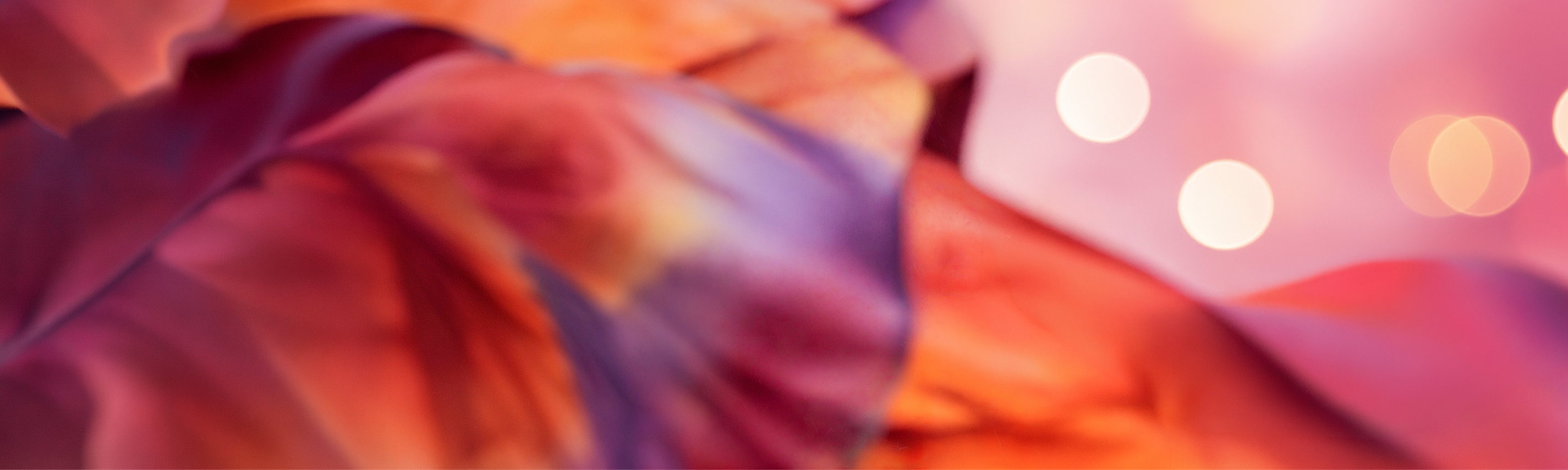 Becoming Taylor Swift Hintergrund