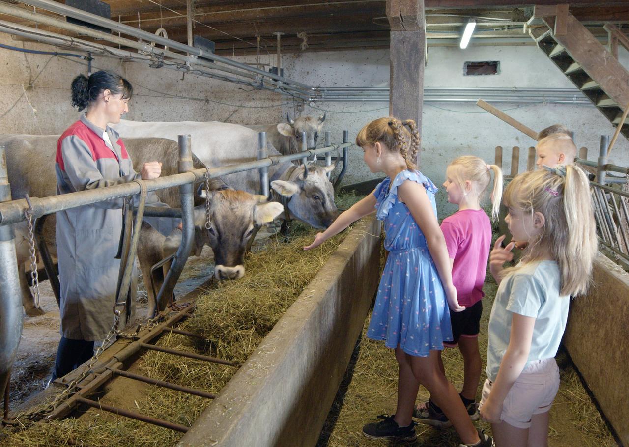 Kinder füttern Kühe in einem Stall unter der Anleitung einer Frau.
