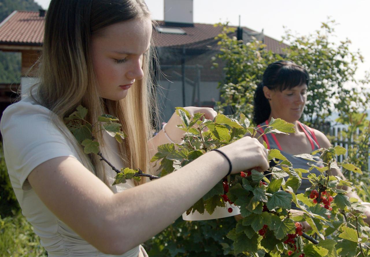 Zwei Frauen pflücken Beeren von einem Strauch, eine von ihnen trägt ein weißes Oberteil, die andere ein pinkes Träger-Top.