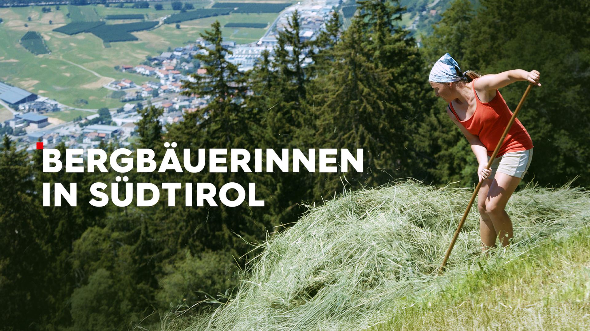Bergbäuerinnen in Südtirol Sendetypical