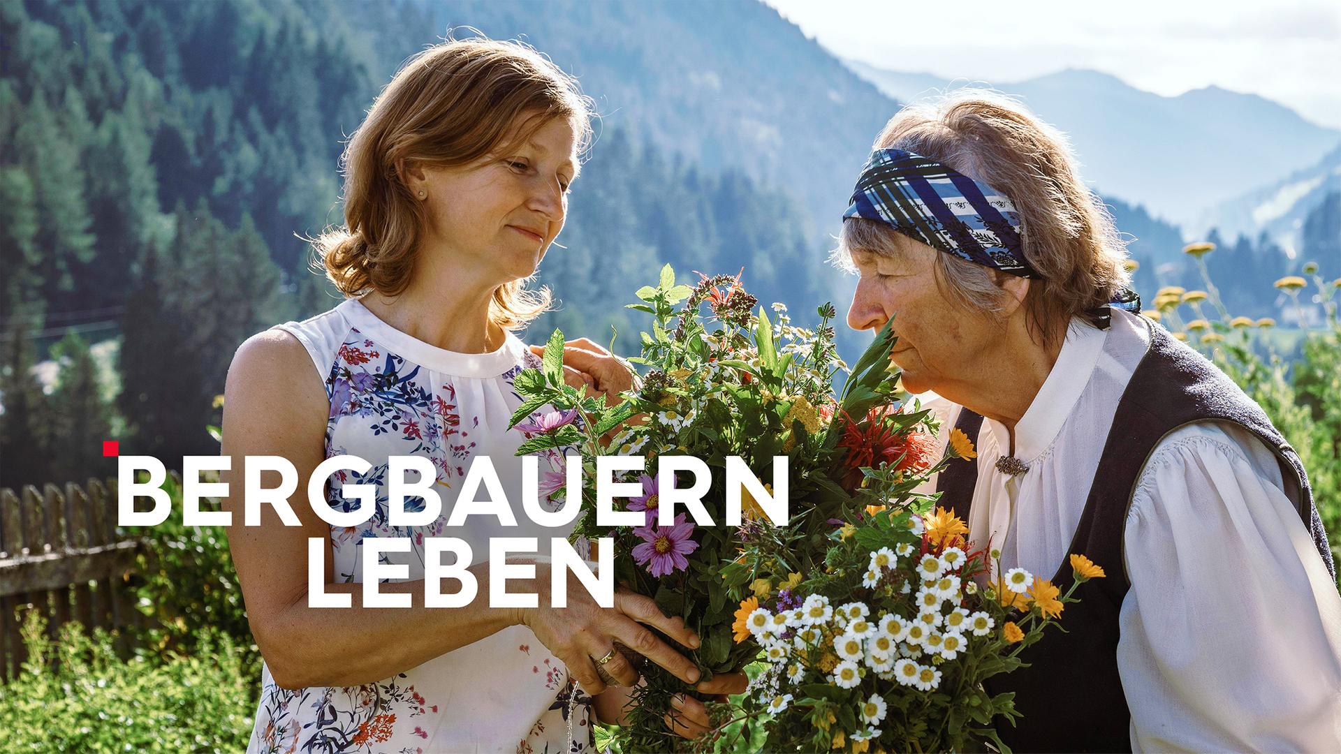 Bergbauernleben Sendetypical 3sat 16zu9