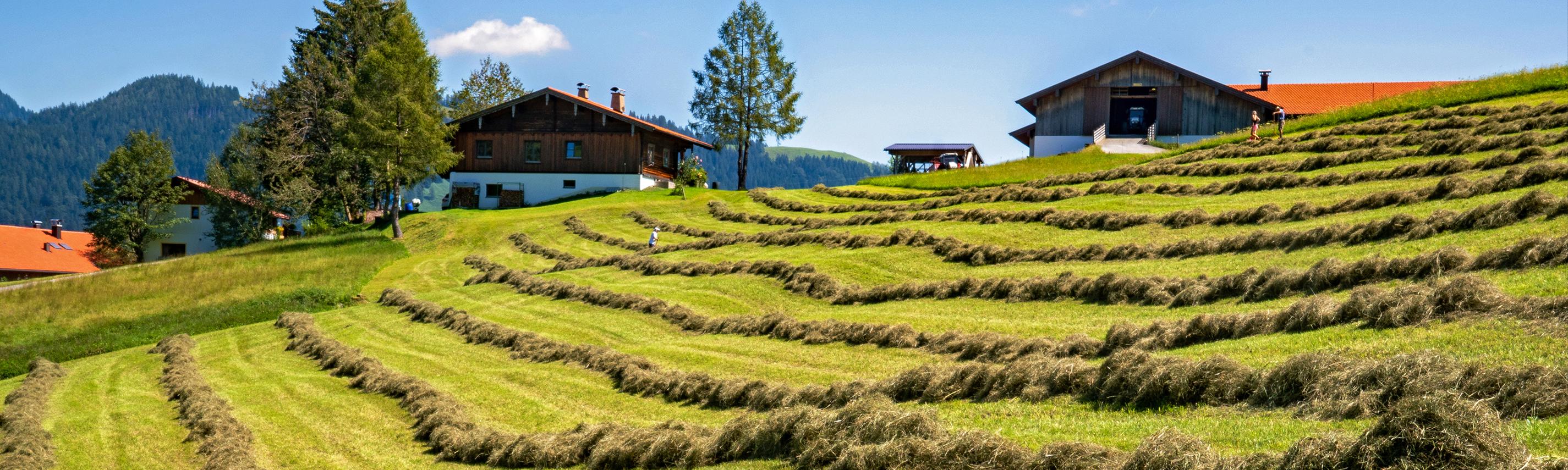 Bergbauernleben Sendebereich Hintergrund 2850x855