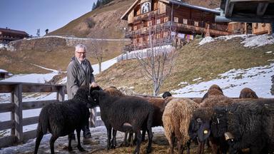 Ein Mann in einer Winterjacke füttert Schafe in einem Schneegestöber, im Hintergrund ist ein traditionelles alpines Holzhaus zu erkennen.
