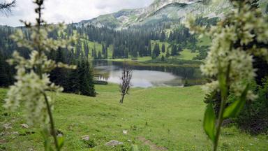 Hohe Berge und klare Wasser pägen diese Landschaft - mal spektakulär, mal verträumt