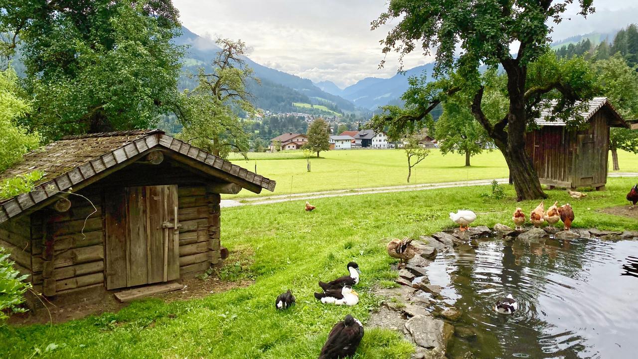 Blick ins Kleinarltal