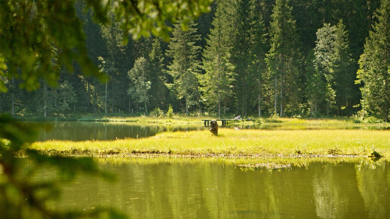 Das Bild zeigt eine ruhige, natürliche Landschaft mit einem kleinen See, der von üppigem Grün umgeben ist. Am Ufer des Sees gibt es eine weiche, grasbewachsene Fläche, die an vielen Stellen mit Sonnenlicht durchflutet wird. Der Hintergrund wird von hohen, dichten Nadelbäumen dominiert, die sich um den See gruppieren. An einem Ende des Sees ist ein Holzsteg sichtbar, der über das Wasser hinausragt. In der Nähe des Stegs scheinen sich einige Personen in einer entspannenden Position zu befinden. Die Gesamtatmosphäre des Bildes wirkt friedlich und idyllisch, was auf die unberührte Natur und das ländliche Leben in den Bergsteigerdörfern hindeutet.