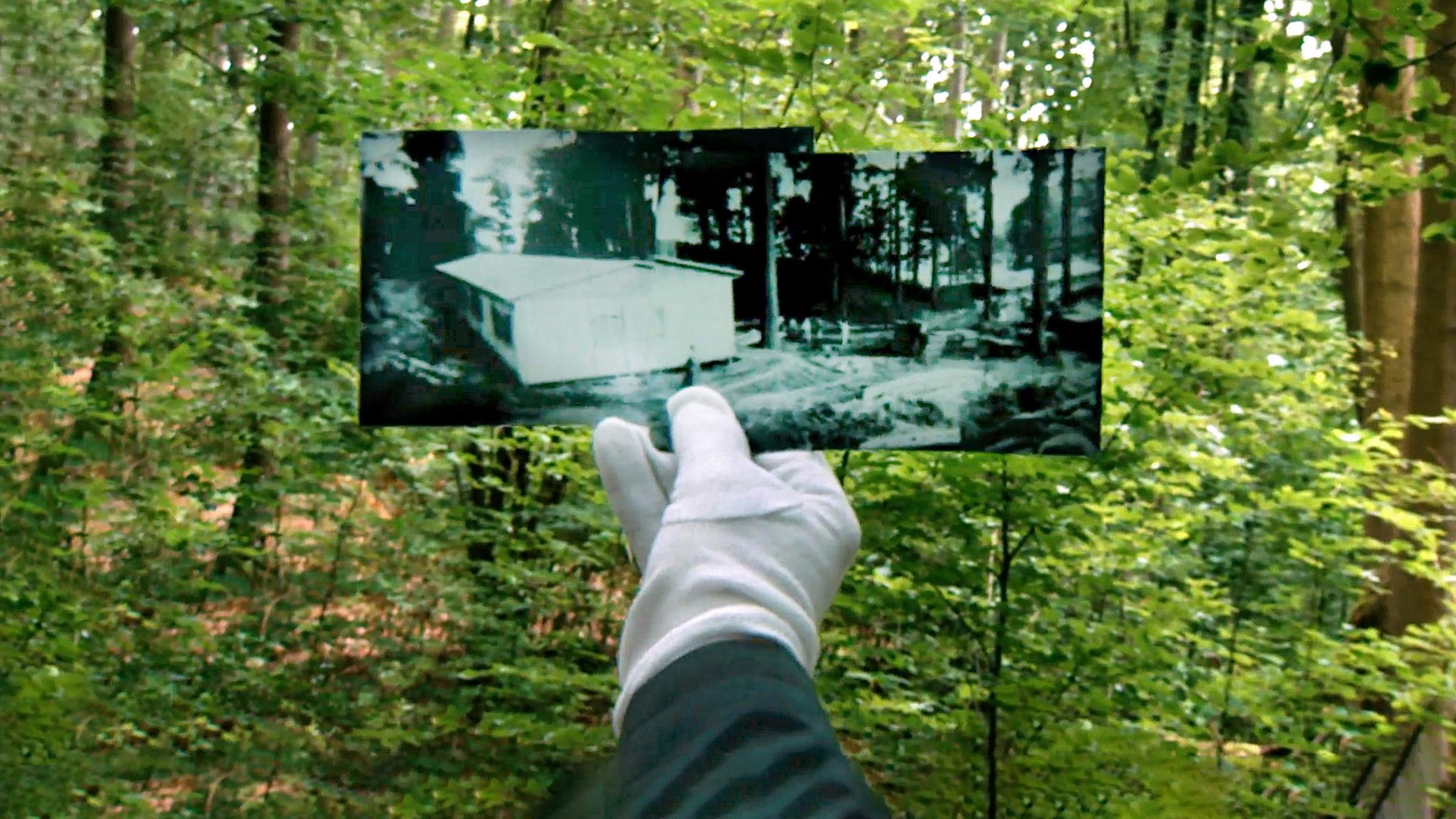 Altes schwarz-weiss Foto vor einem Laubwald