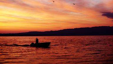 Die Bodensee-Fischer kämpfen ums Überleben