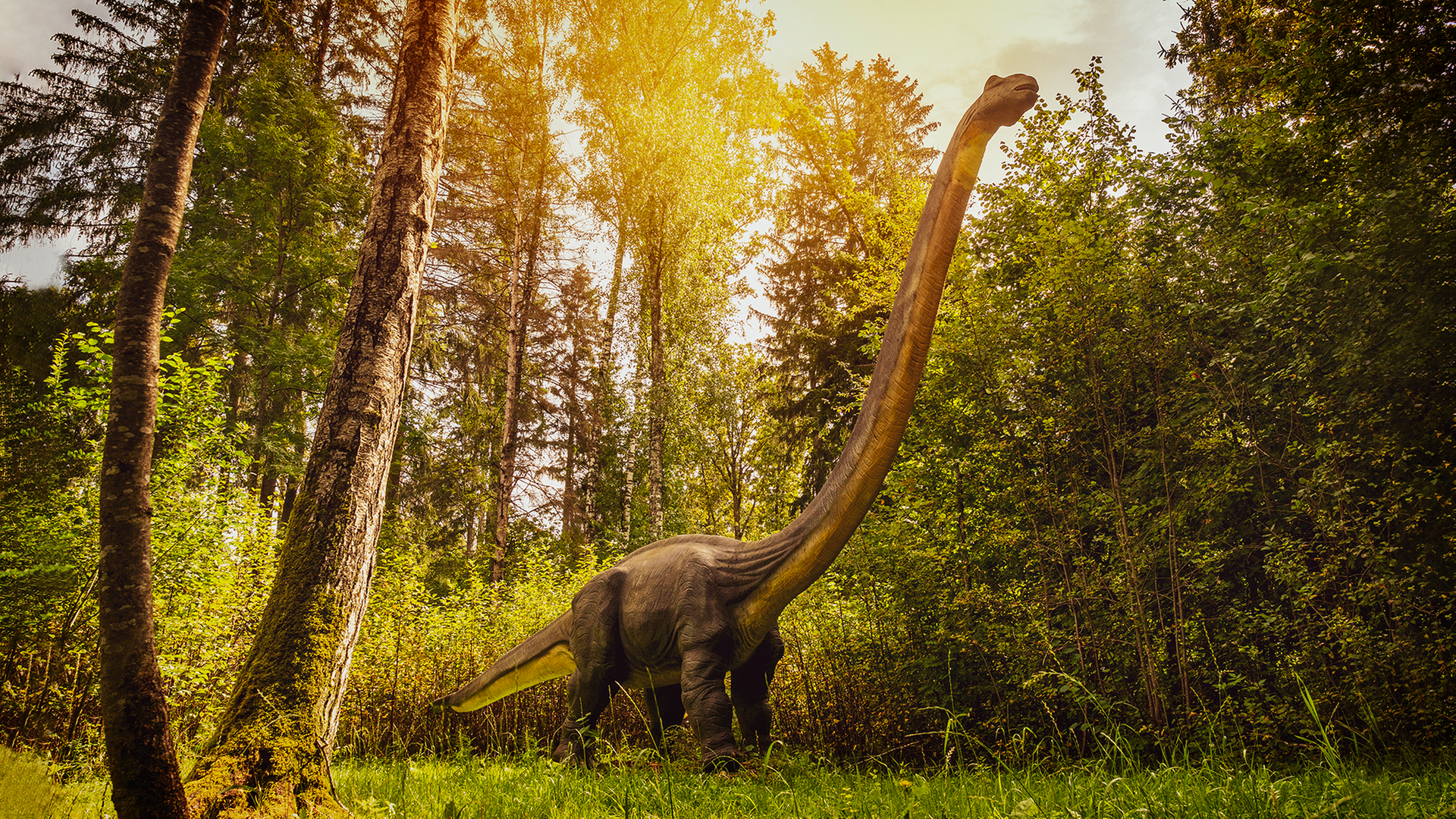 Brachiosaurus im Wald