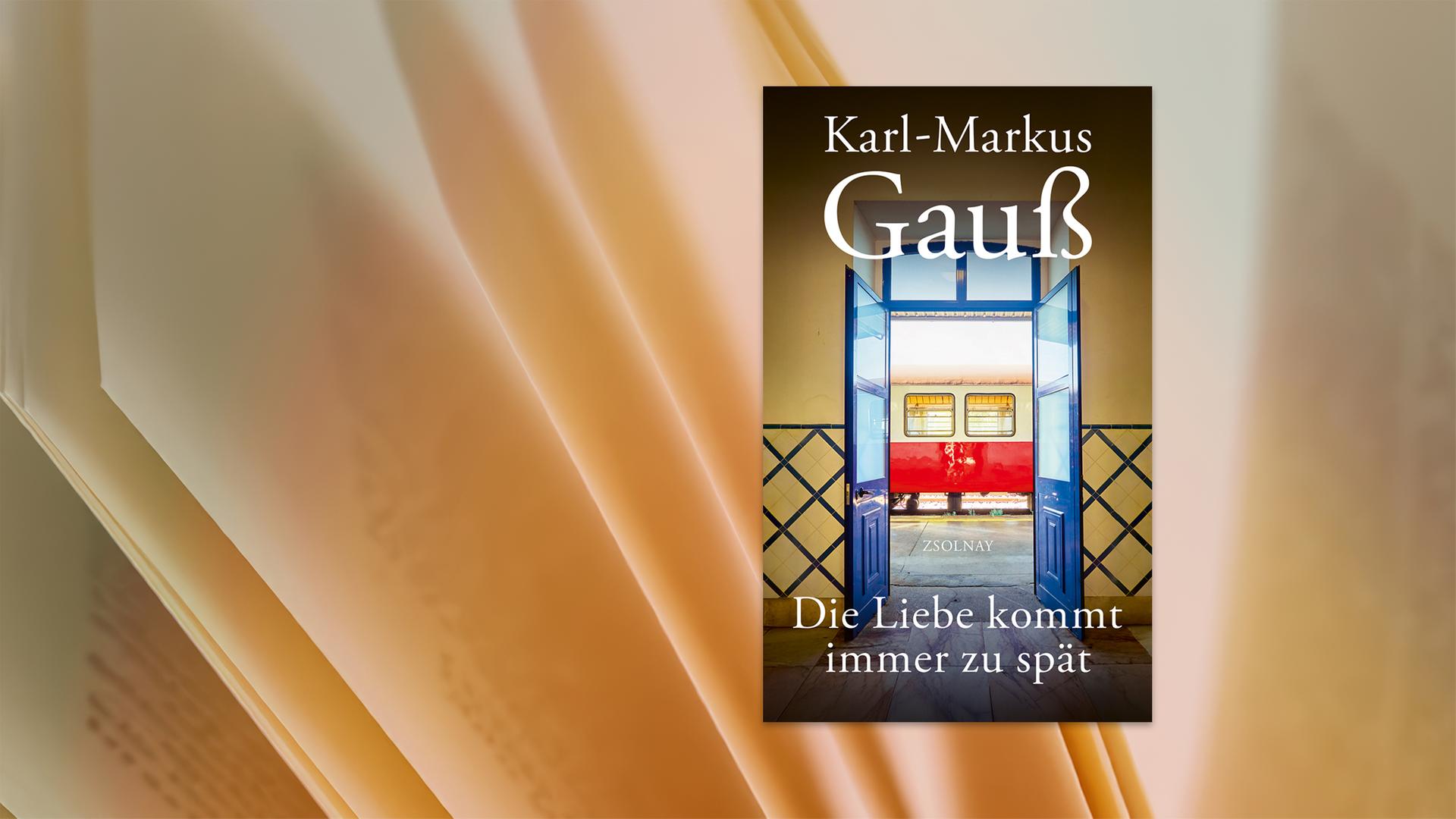 Auf dem Cover des Buches sieht man die Illustration eines Bahnhofs mit Zug.