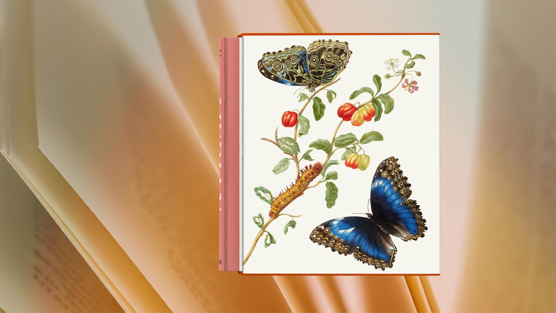 Auf dem Cover des Buches sieht man die Illustration von Schmetterlingen.