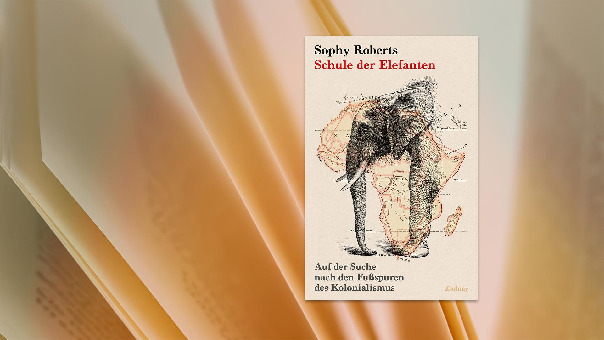 Auf dem Cover des Buches sieht man die Illustration eines Elefanten und des afrikanischen Kontinents.