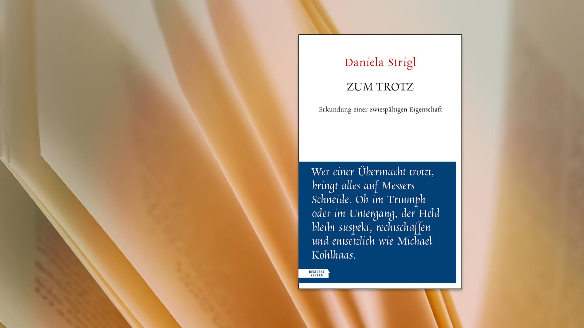 Die obere hälfte des Buchcovers ist in Weiß, die untere Hälfte in Dunkelblau gehalten. Auf der oberen Hälfte steht der Buchtitel, auf der unteren Hälfte steht ein Text geschrieben.