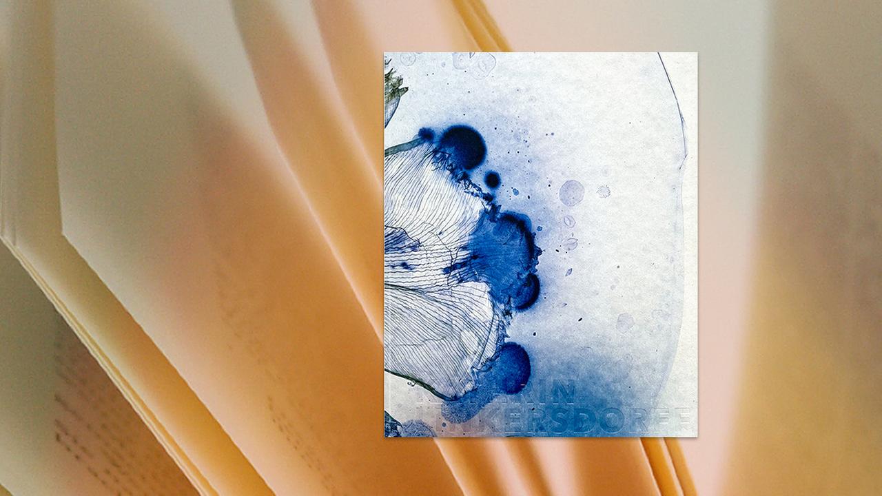 Auf dem Buchcover sind abstrakte blaue Kleckse zu sehen.