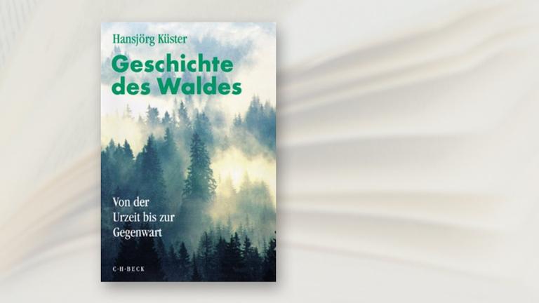 Buchtipp Geschichte Des Waldes 3sat Mediathek