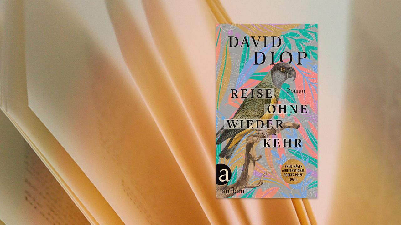 Buchcover: David Diop "Reise ohne Wiederkehr oder Die geheimen Hefte des Michel Adanson"