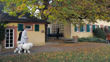 Szene aus "Das Haus" von Monika Maron. Altes Gutshaus mit Nebengebäude. Zwischen den Gebäuden steht ein großer, alter Baum mit verfärbten Laub. Im linken Teil des Bildes gehen zwei ältere Frauen mit einem weißen Königspudel spazieren.