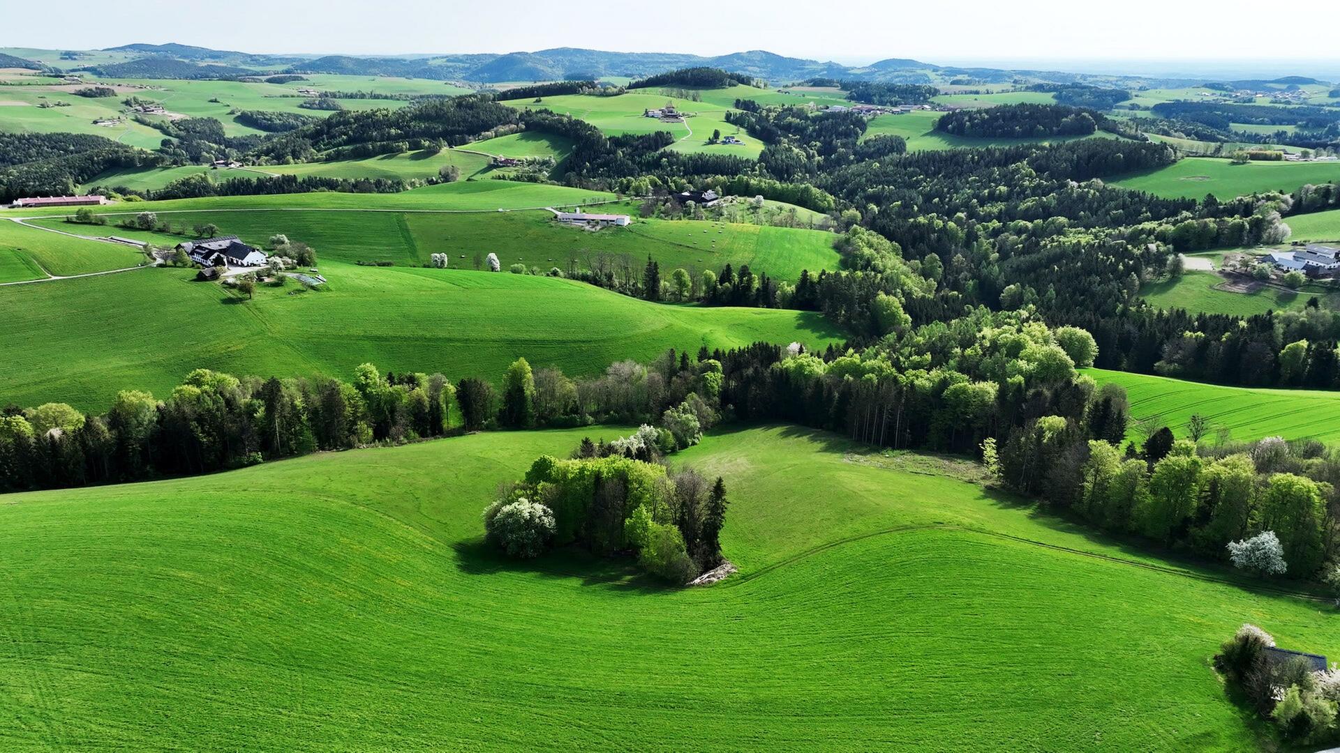 Grüne Hügel und Täler