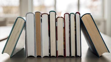 Mehrere Bücher stehen mit dem Buchrücken nach oben auf einem Tisch.