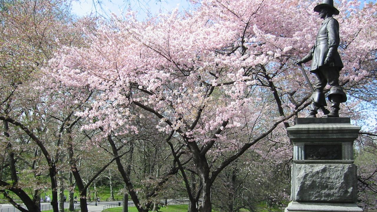 Central Park Das Herz Manhattans 3sat Mediathek