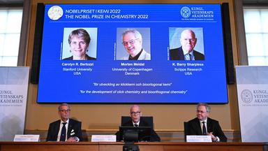 Drei Molekülforscher*innen erhalten Chemie-Nobelpreis