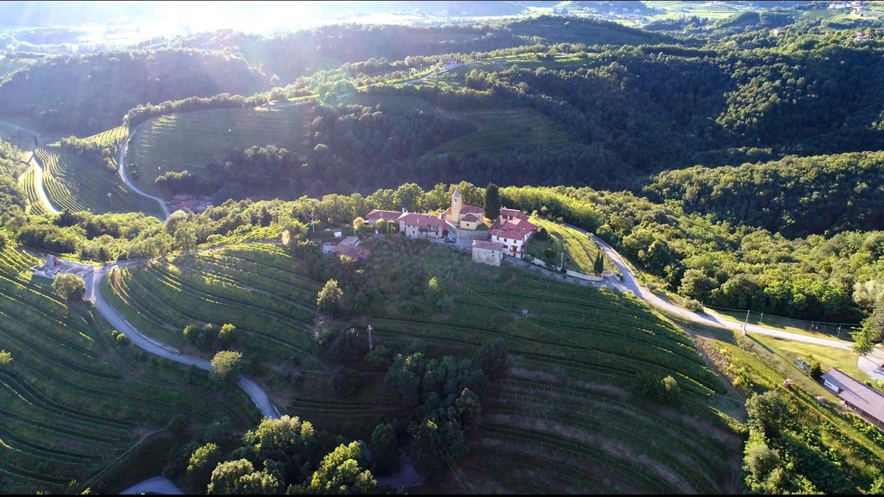 Hügel des Collio