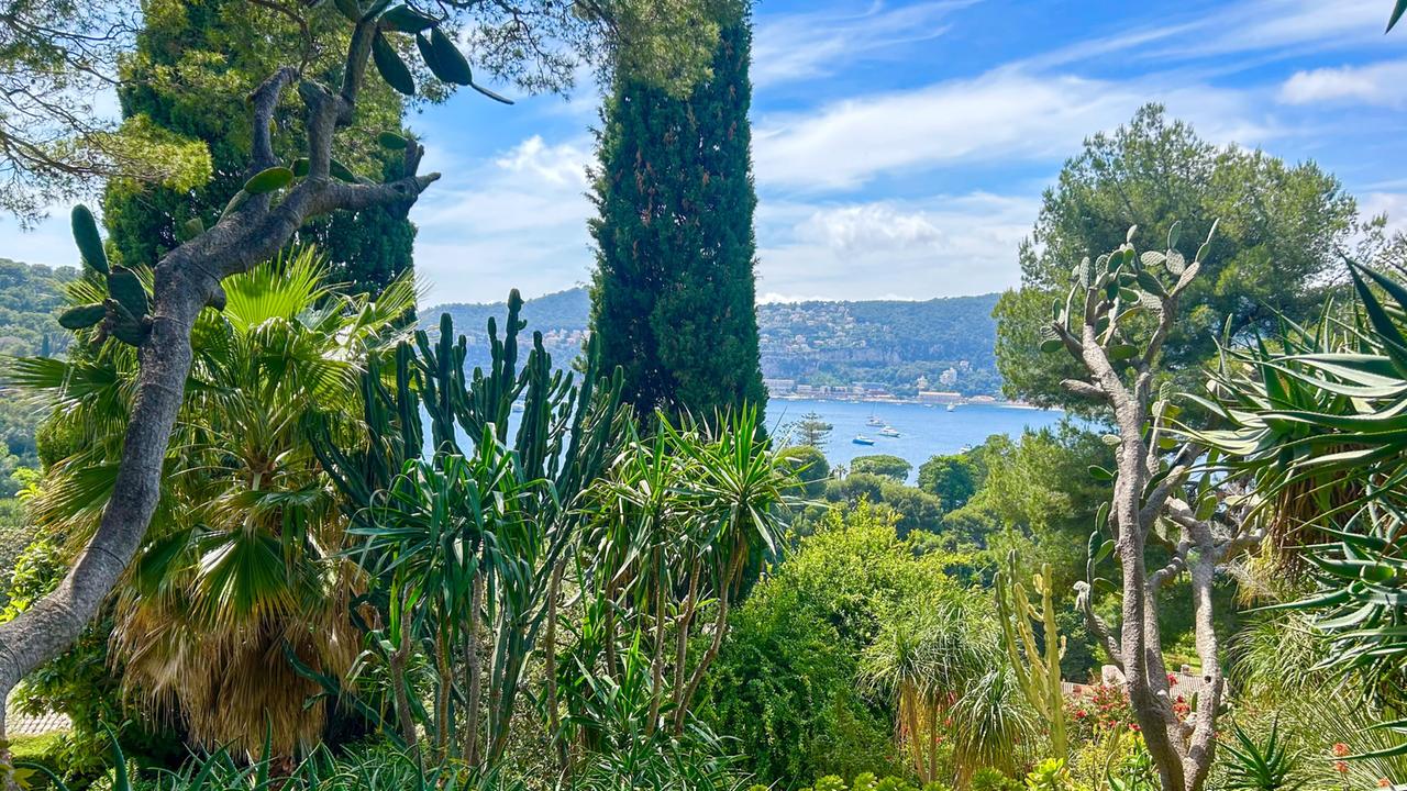 Das Bild zeigt einen Garten mit vielfältigen Pflanzen, darunter Palmen und Kakteen. Im Hintergrund ist das azurblaue Meer und Hügel mit Bäumen und Häusern sichtbar. Der Himmel ist teilweise bewölkt.