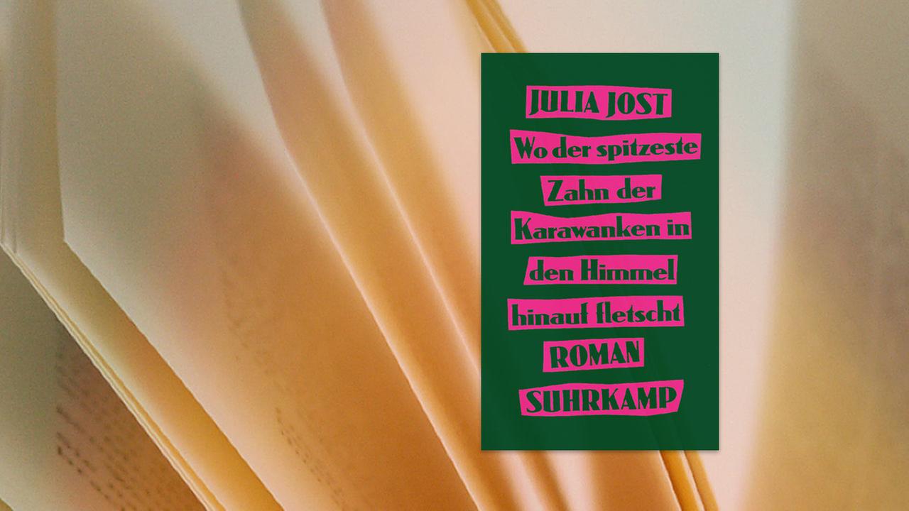 Buchcover des Titels Wo der spitzeste Zahn der Karawanken in den Himmel hinauf fletscht von Julia Jost