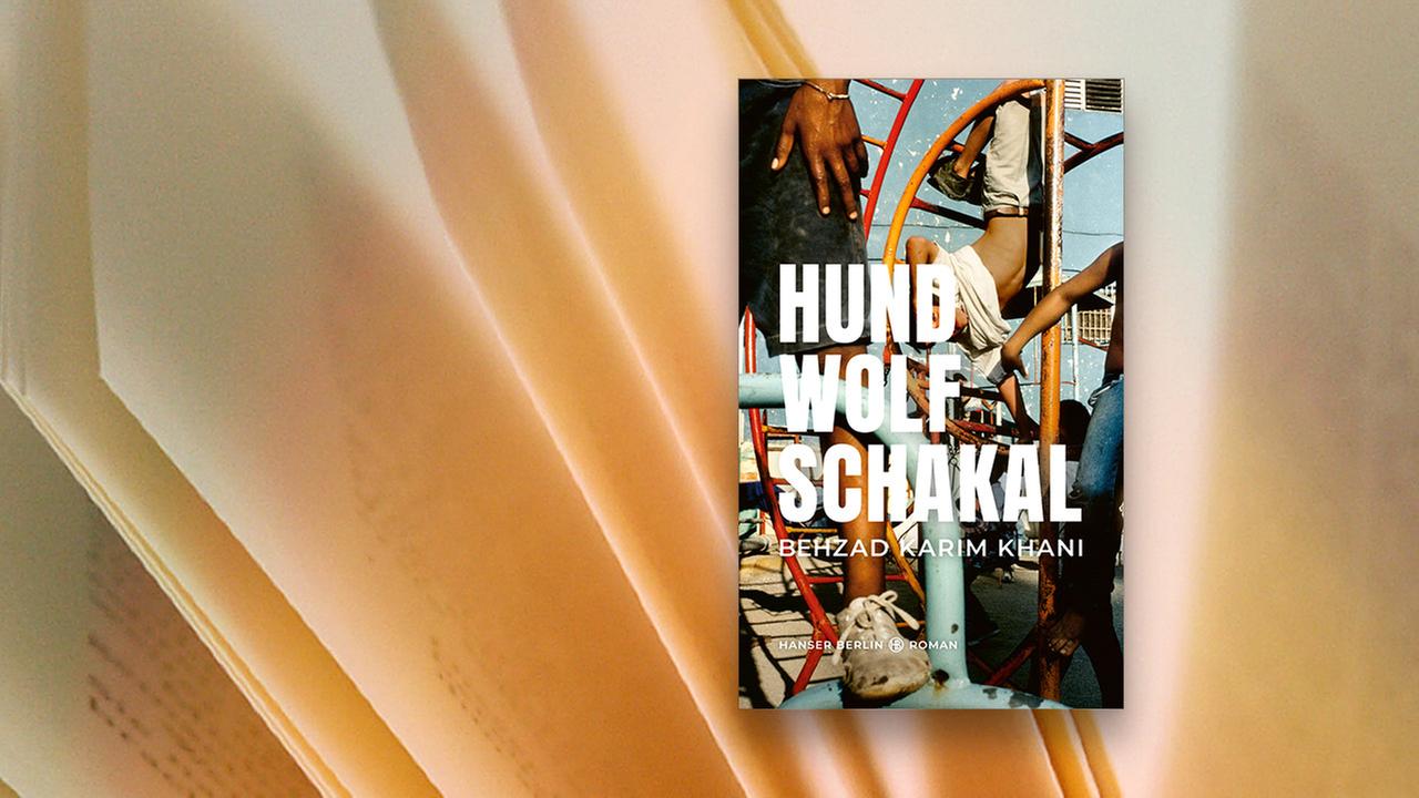 Cover des Debutromans Hund, Wolf, Schaka von dem Autor Bahzad Karim Khani.