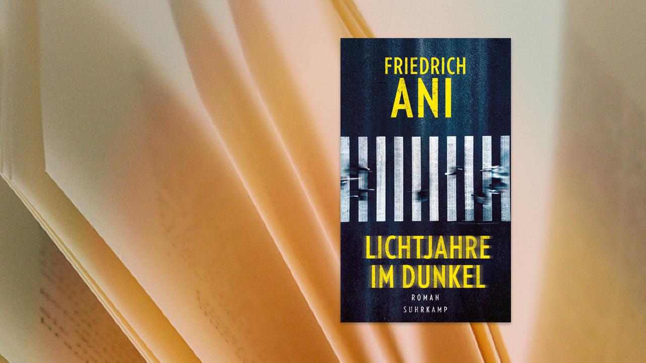 Auf dem Umschlag des Krimis Lichtjahre im Dunkel ist zwischen dem Titel in Großbuchstaben ein Zebrastreifen von oben zu sehen.