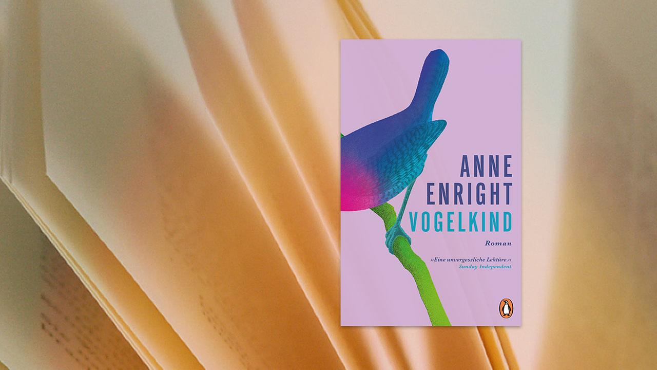 Auf dem Buchcover von "Vogelkind" von Anne Enright ist einer buntes Vogelhinterteil auf einem Ast zu sehen.