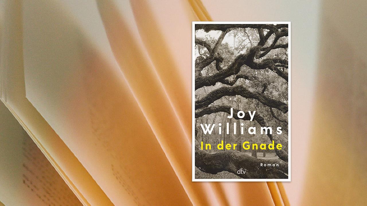 Buchcover des Titels In der Gnade von Joy Williams