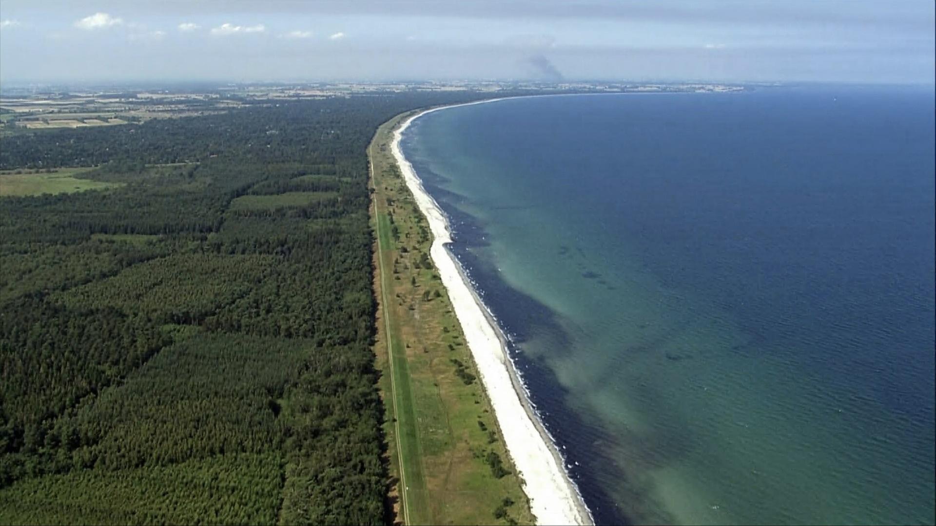 Ein langer Sandstrand und bewaldete Küste in Dänemark.