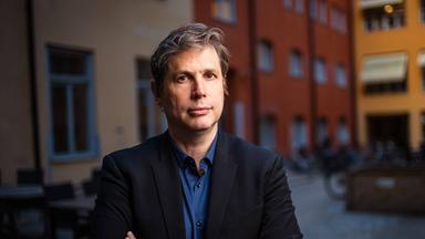 Porträtfoto eines Mannes mit leicht graumeliertem Haar, der einen Anzug mit blauem Hemd trägt.