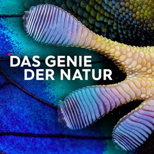 Das Genie der Natur Sendetypical 2400x1350 16zu9