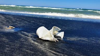 Plastikbecher am Strand