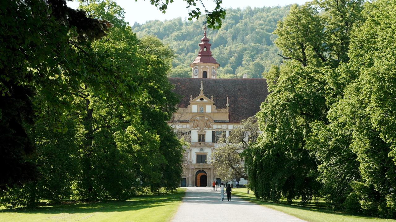 Eine Baumallee führt auf einen Schlosseingang zu