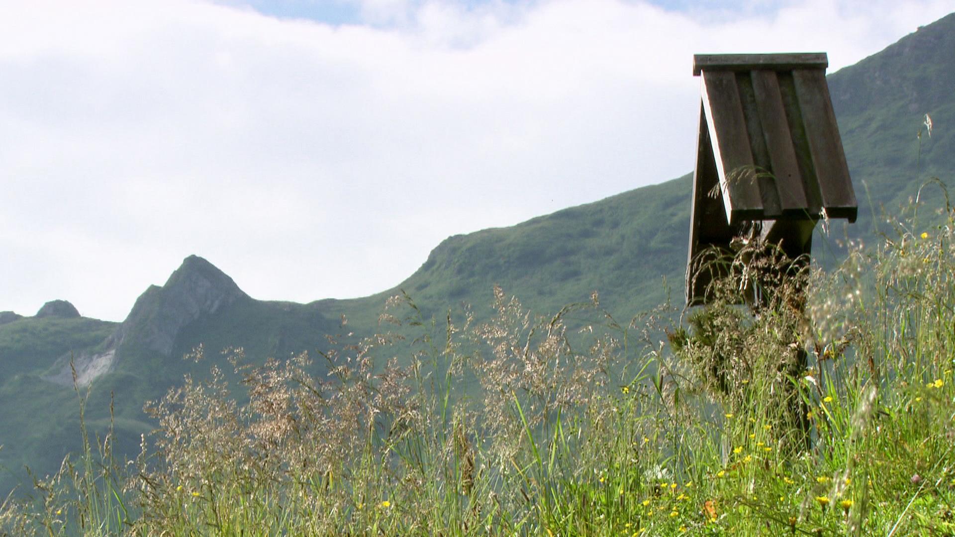 Marterl auf der Oberarchener Alm