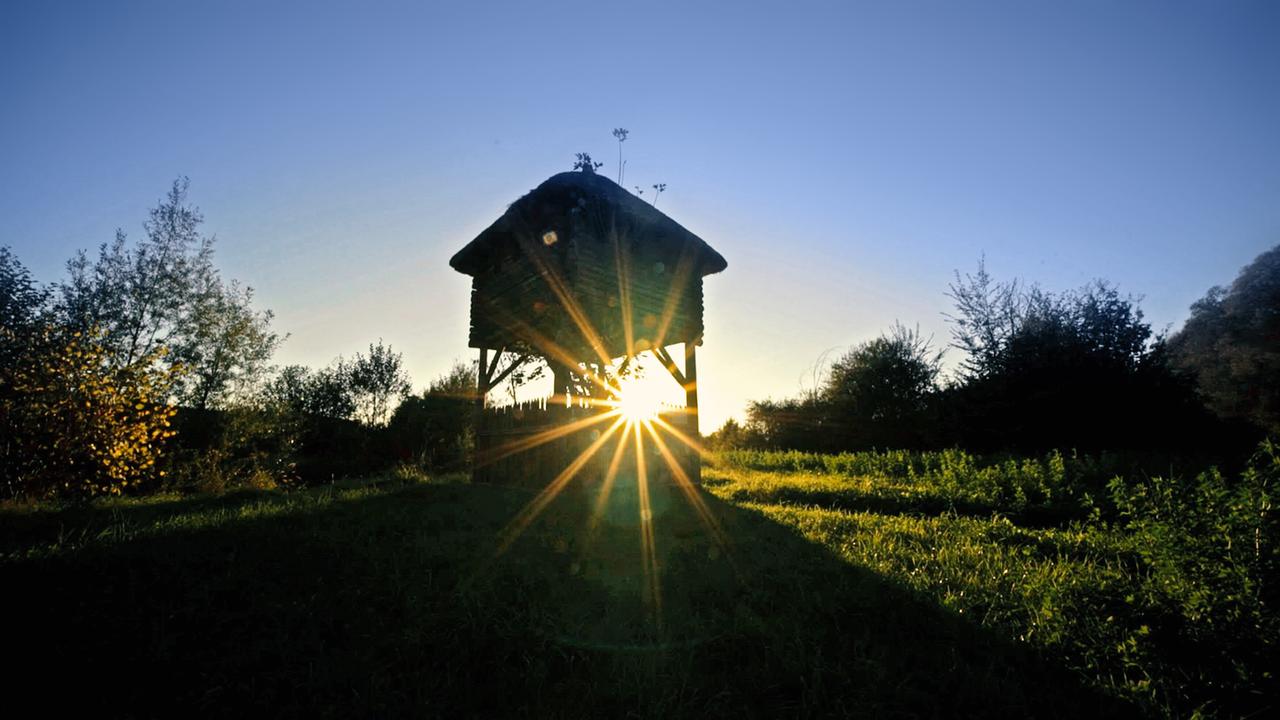 Ein Hochsitz im Gegenlicht