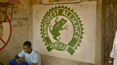 Ein junger Mann sitzt in einem Raum und schaut auf sein Mobiltelefon. Hinter ihm sieht man eine Wand mit einem Logo.