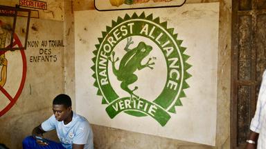 Ein junger Mann sitzt in einem Raum und schaut auf sein Mobiltelefon. Hinter ihm sieht man eine Wand mit einem Logo.