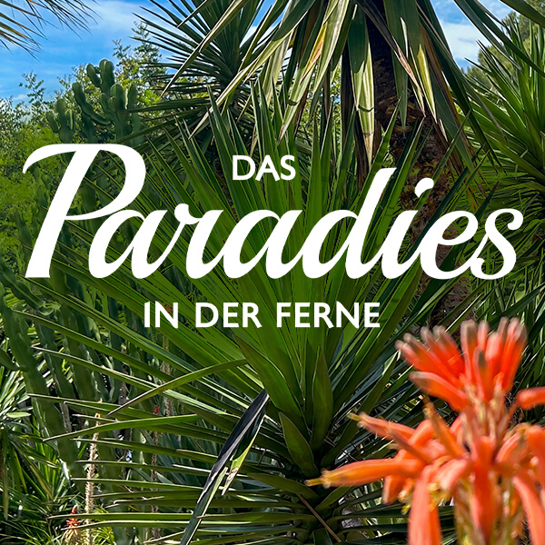 Das Paradies in der Ferne Sendetypical