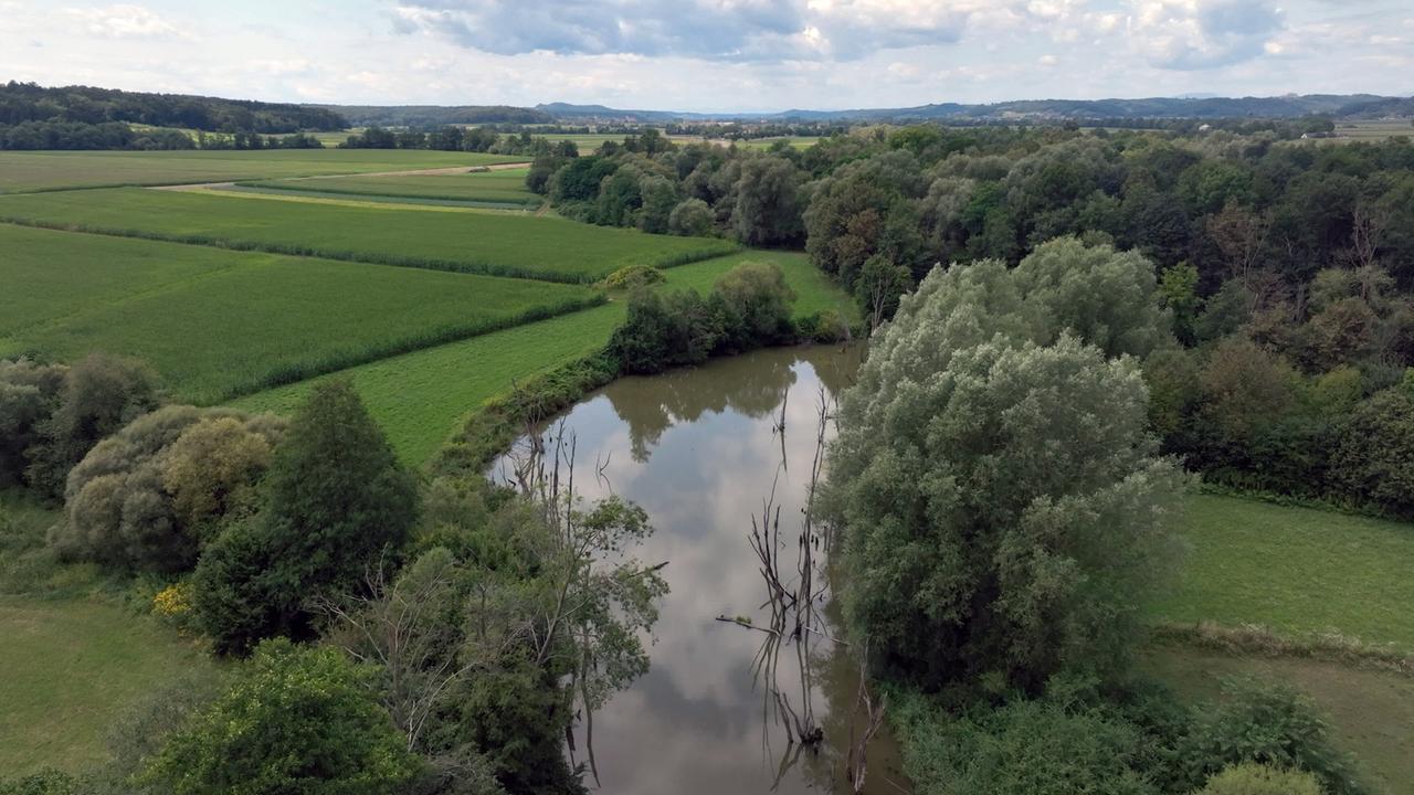 Das Bild zeigt eine malerische Landschaft des Raabtals in Österreich. Im Vordergrund ist ein ruhiger, seeähnlicher Fluss mit einer leicht spiegelnden Oberfläche zu sehen. Ans Ufer des Flusses schließen sich Bäume und Sträucher an, darunter einige hohle, lichte Baumwurzeln, die aus dem Wasser ragen.   Die gesamte Szenerie wird von üppigen, grünen Feldern umgeben, die sich bis zum Horizont erstrecken. Die teilweise unterschiedlichen Grüntöne der Wiesen und Felder verleihen der Landschaft Lebendigkeit. Im Hintergrund erhebt sich ein bewaldeter Hügel, der in sanften Wellen verläuft. Der Himmel ist teilweise bewölkt, mit einigen Lichtstrahlen, die durch die Wolken blitzen.   Insgesamt vermittelt das Bild einen Eindruck von unberührter Natur und ländlicher Idylle.