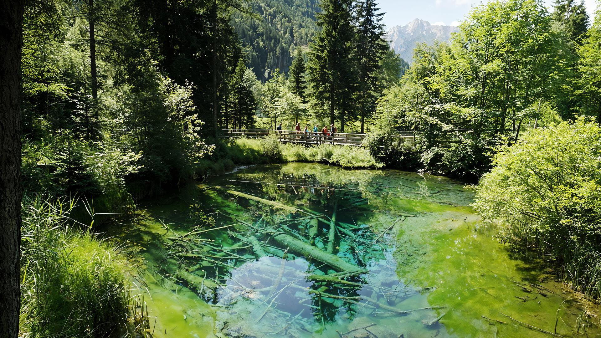 Nadelbäume umrahmen einen sehr klaren türkis schillernden See, über den Wanderer auf einer Holzbrücke laufen