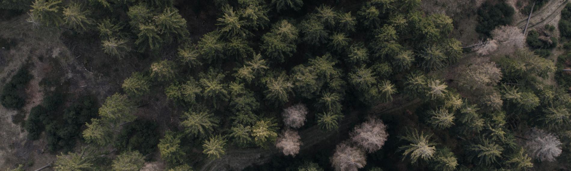 Das Verschwinden von Peggy Knobloch ist einer der bekanntesten Kriminalfälle Deutschlands. Die Doku-Serie rekonstruiert den Fall des jungen Mädchens.