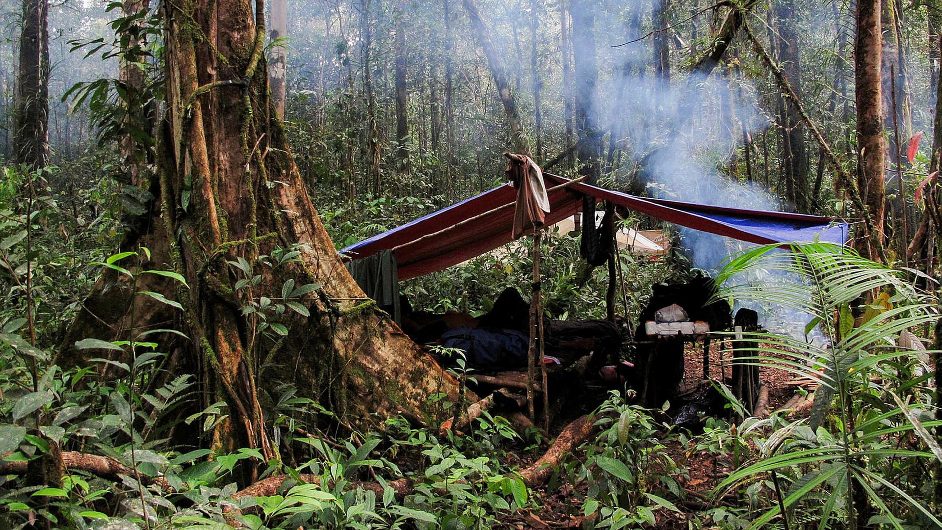 Schlangen, Schweine, Schönheitswahn_Borneo - Ein temporäres Nachtlager im Urwald von Ba Jawi