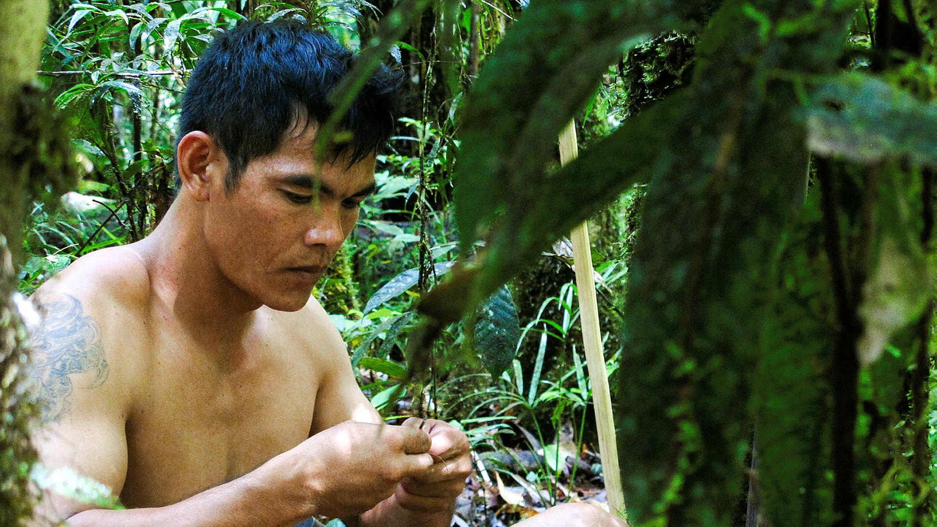 Hoffnung, Trauer und grosse Ziele_Borneo - Lubun kämpft für den Erhalt der letzten Urwälder der Penan