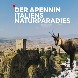 Der Apennin Sendetypical